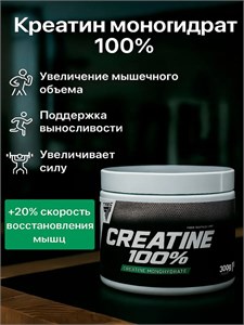 Trec Nutrition Creatine 100% 300г 19200