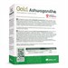 Olimp Gold Ashwagandha 60 капс. 8436046978011